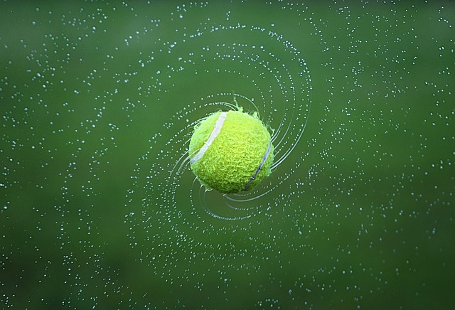 Tenis, sport, tenisový míček.